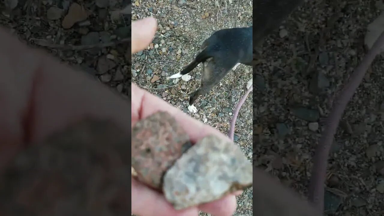 River walk #swollenriver #spring