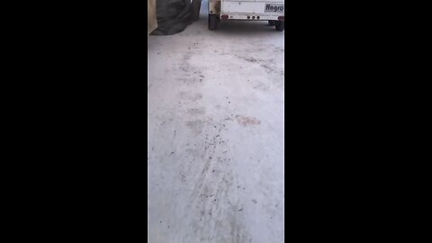 Frozen Tire In Yukon Canada