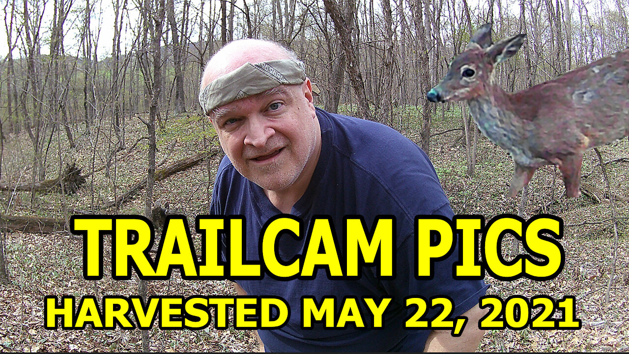 Trailcam Pics in Pennsylvania, Harvested May 22, 2021