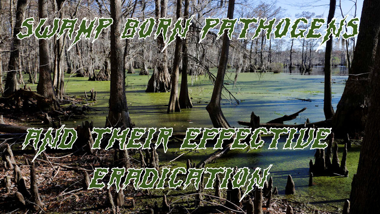 Just How Deep is the Great DC Swamp?