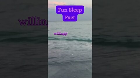 Beach Sleep Secret? 😴🏖️ | Surprising Fact Revealed! @AmbientNoiseCo. #beachvibes #facts #ocean