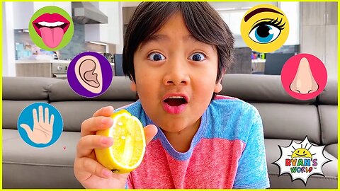 The Five Senses and more 1 hr kids educational learning video!.