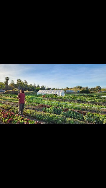 G'night fam. Trump won 💥 😎 👊 and btw 🖕🖕🖕JB and KH...