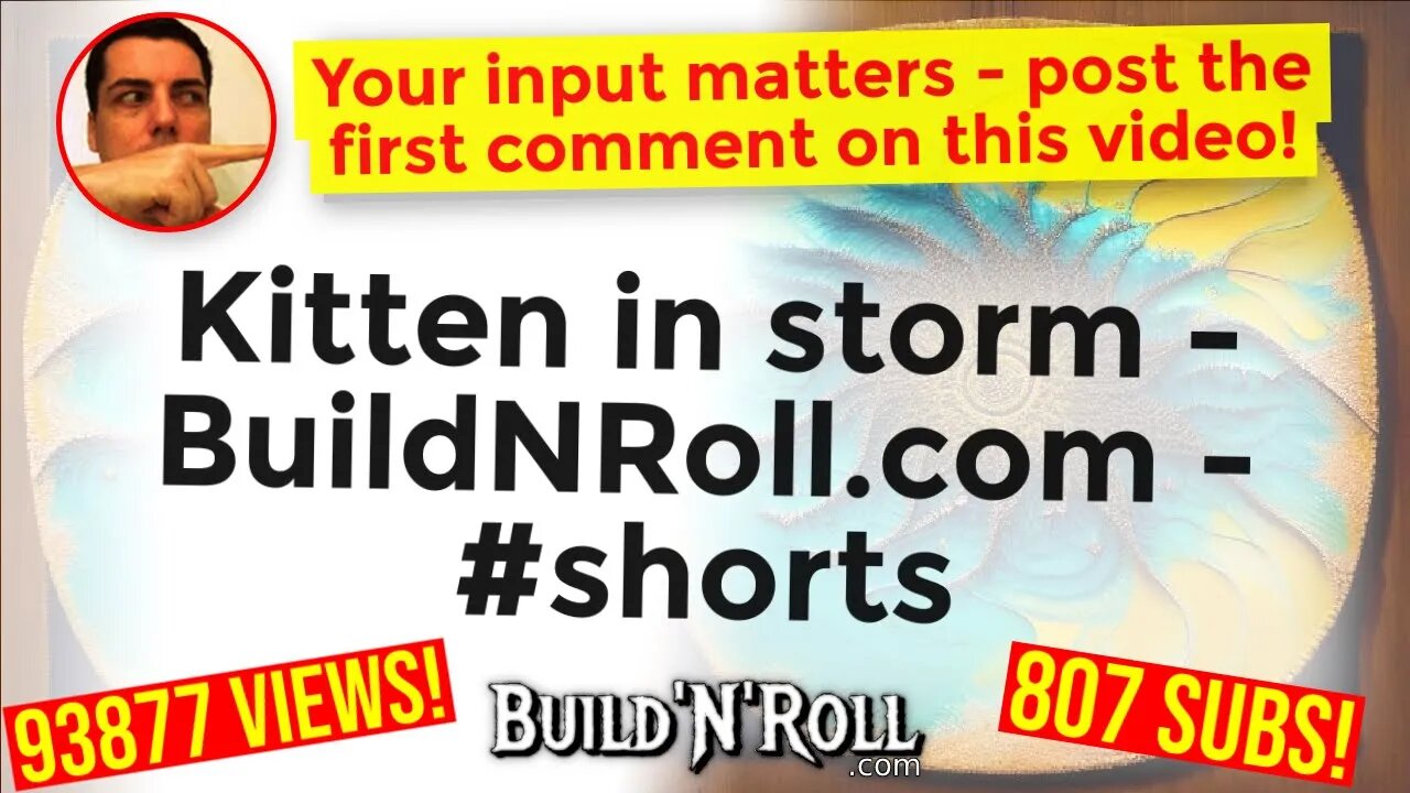 Kitten in storm - BuildNRoll.com - #shorts