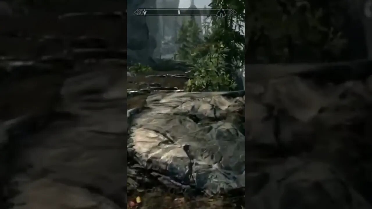 Must Get Those Fitbit Steps In #skyrim