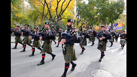 Marching Bands in NYC Veterans Day Parade