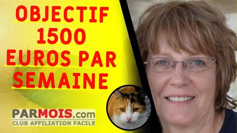 AFRIQUE : Objectif 1500 Euros Par Semaine