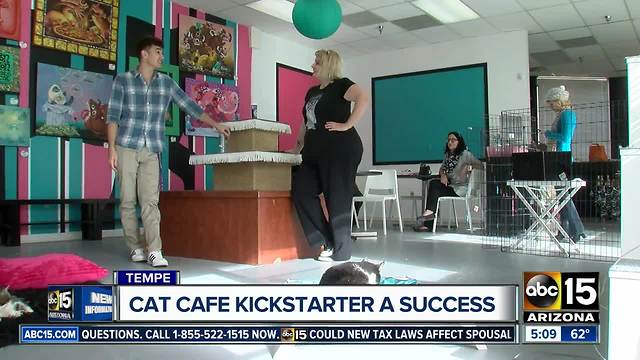 Tempe cat cafe to remain open