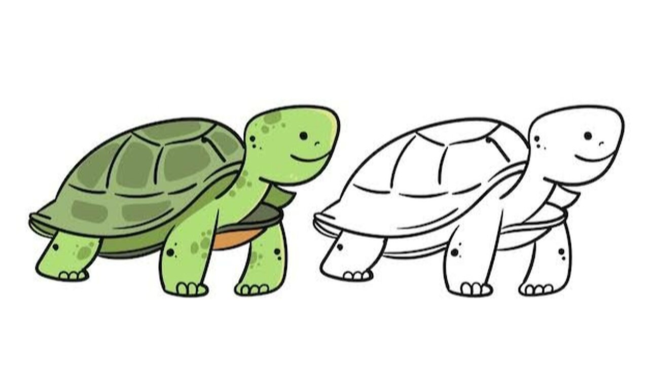 How Do Turtles Live So Long?