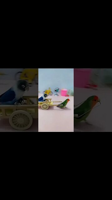 Most Amazing and trending video||relaxing your mind||trendig videos|| #shorts #trending #viral #live