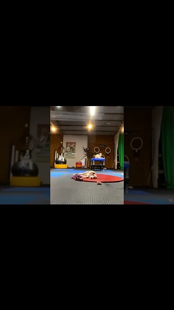 🐶🩹Keeping Your Dog Chill during Physical Rehab - Dimissal & Tether FTW! 😎