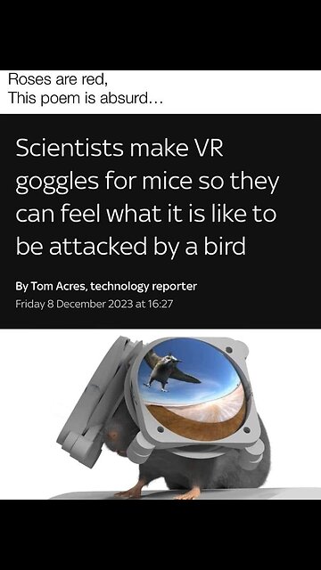 How to scare a mouse #shorts #silly #funny #memes #science #zoology #vr #virtualreality
