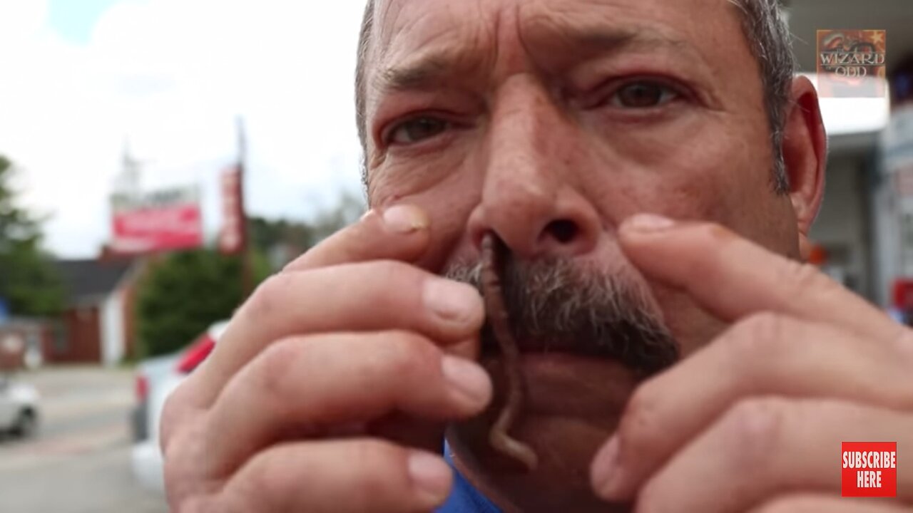 Guy sniffs worm then eats it