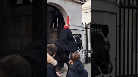 Horse moves out of box #horseguardsparade