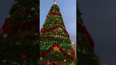 The Christmas Tree in New York at Universal Studios Orlando Florida