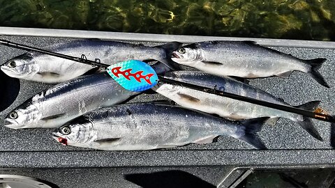 TRICKS For Trolling KOKANEE and TROUT! Downriggers, Dodgers, Lures & MORE!