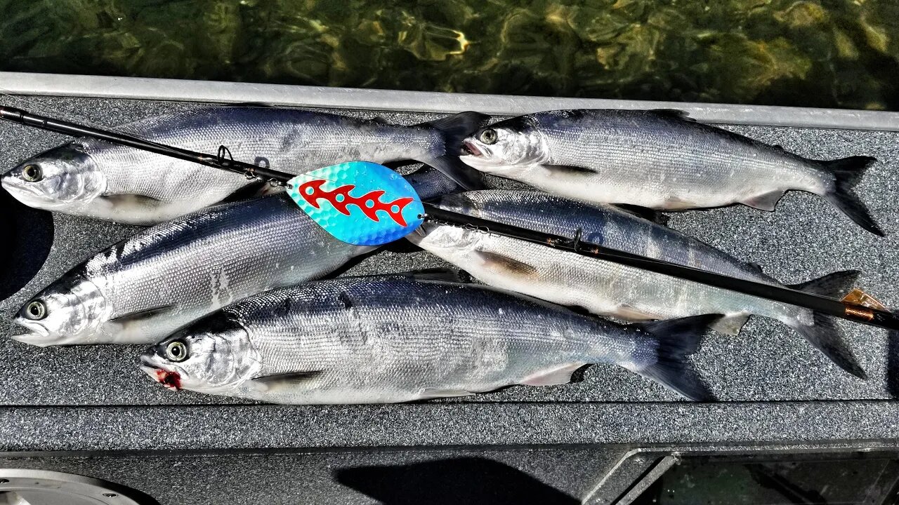 TRICKS For Trolling KOKANEE and TROUT! Downriggers, Dodgers, Lures & MORE!