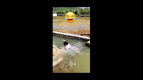 #Funny Videos 🤣🤣🤣