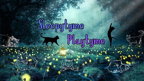 Sleepytyme / Playtyme