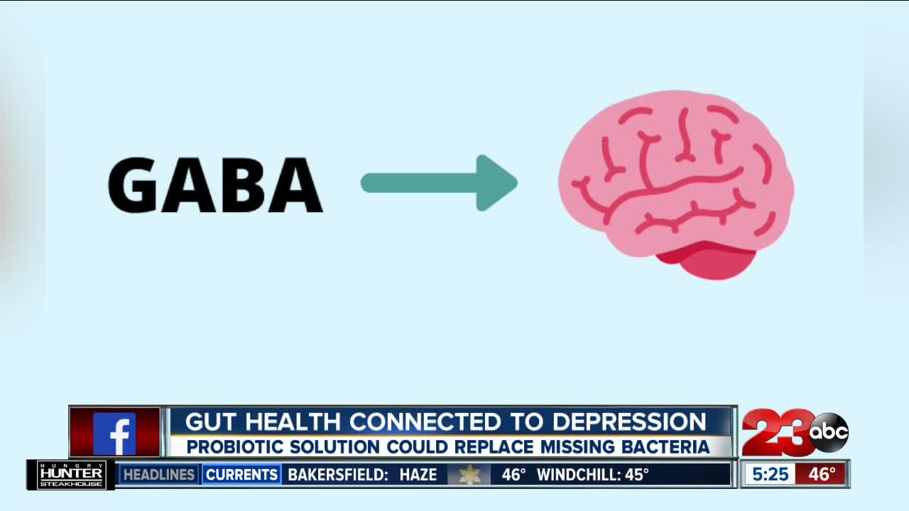 California researcher says gut health is connected to mental health