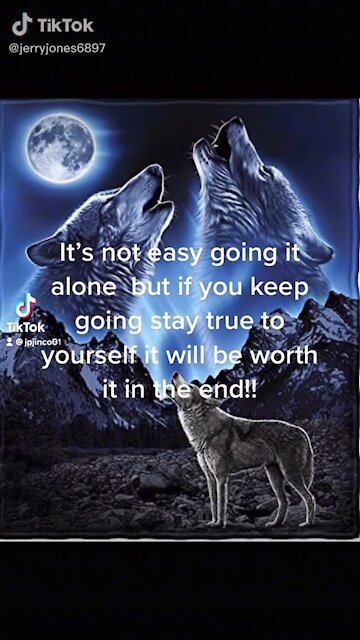 Be the lone wolf