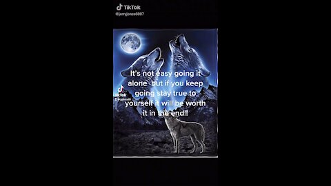 Be the lone wolf
