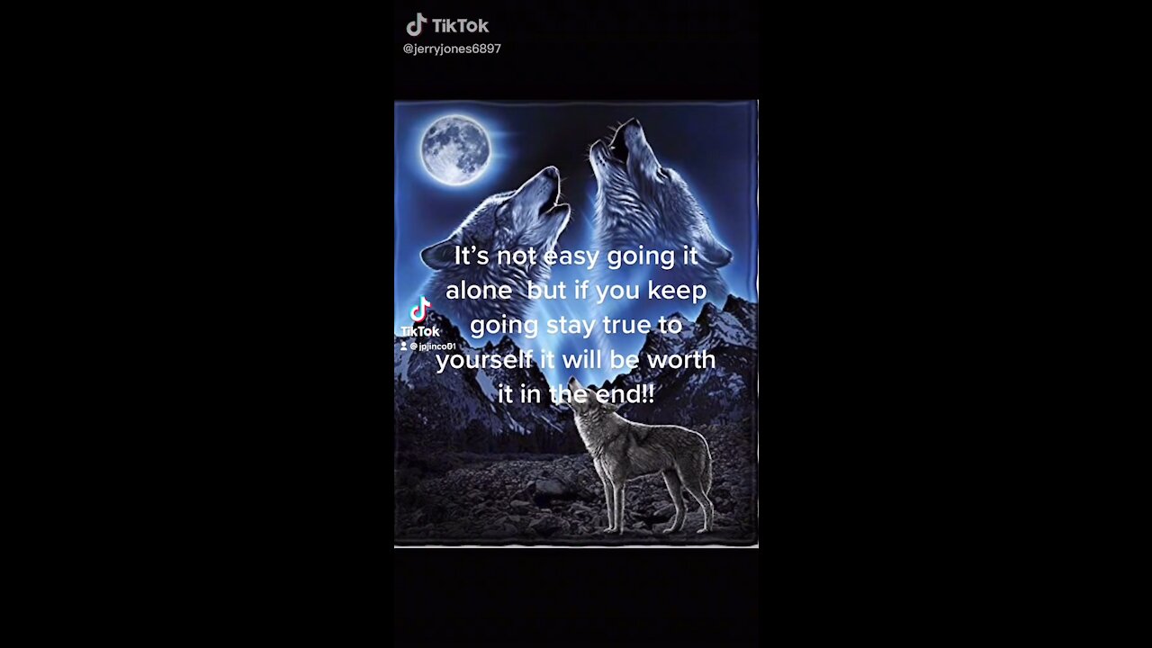Be the lone wolf
