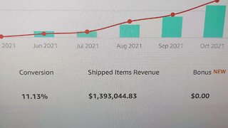 I Helped Amazon+ Sellers Make 1.4Million Dollars In 2021 With 40k Items Shipped