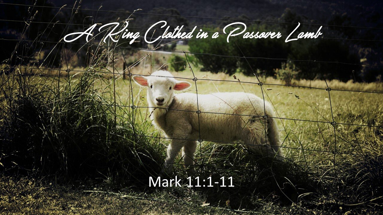 A King Clothed in a Passover Lamb - Mark 11:1-11