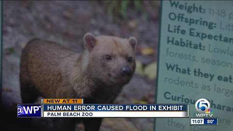 Human error caused flood in exhibit at Palm Beach Zoo