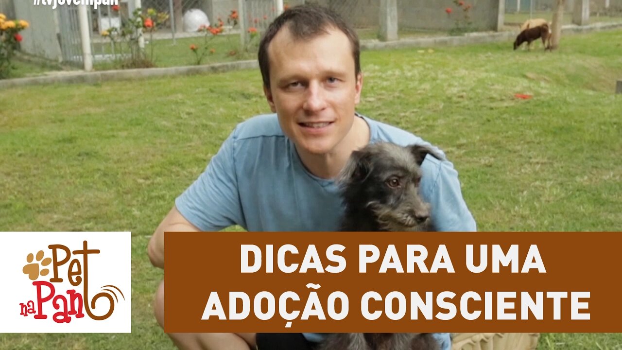 Pet Na Pan #23 - dicas para uma adoção consciente