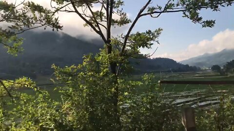 beautiful nature