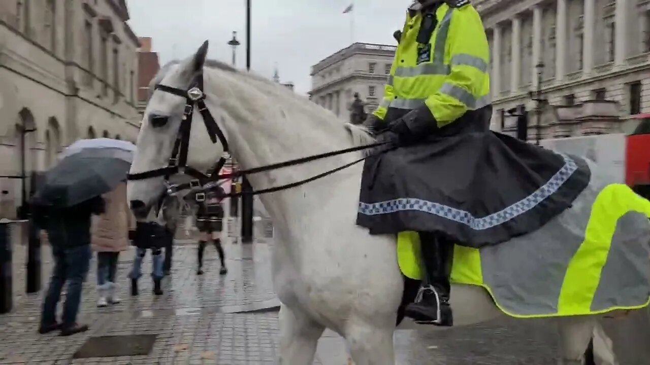 Police horses and the kings guard #horseguardsparade