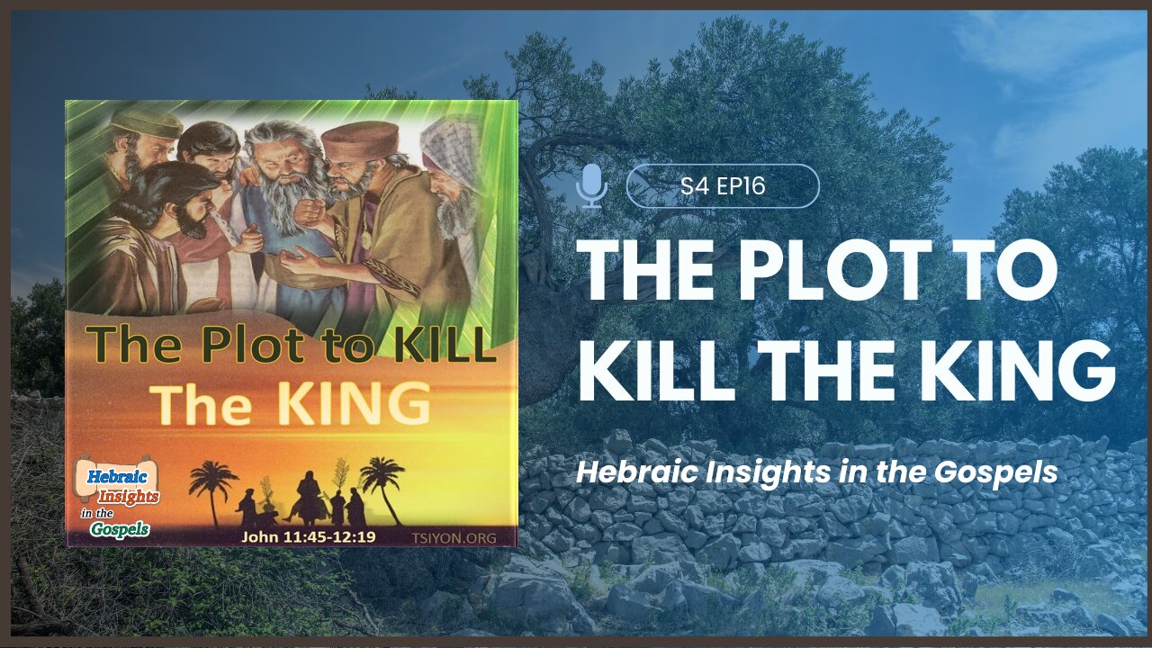 John 11:45-12:19 - The Plot to Kill The King - HIG S4 Ep16