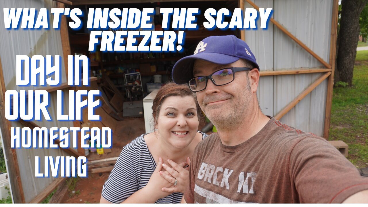 DITL | Homestead Life | What Is Inside The Freezer!