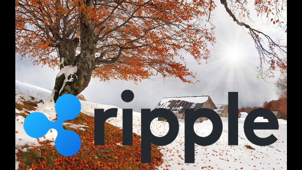 Judge Torres On The SEC, Ripple & XRP!