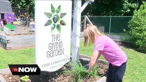 Students learn importance of healthy eating through school's 'Giving Garden'