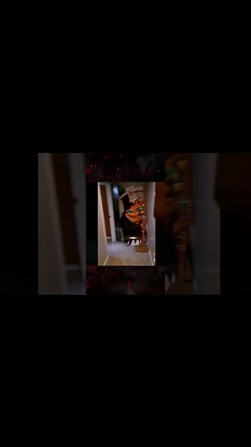 Did You See It? - Shadow in the light #spooky #paranormal #ghost #ghosthunting #scary