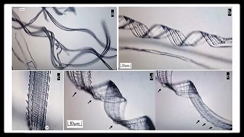 Önösszeszerelő nanorobotok a COVID-19-oltásokban egy újabb tanulmány szerint