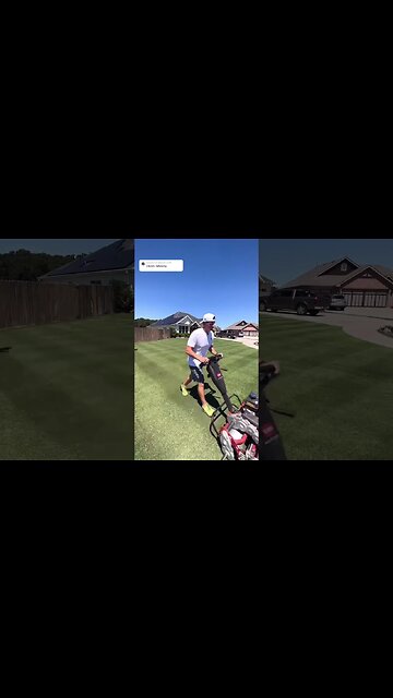 2 Words that Describe my Lawn…