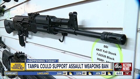 Tampa councilman proposes resolution for assault weapons ban