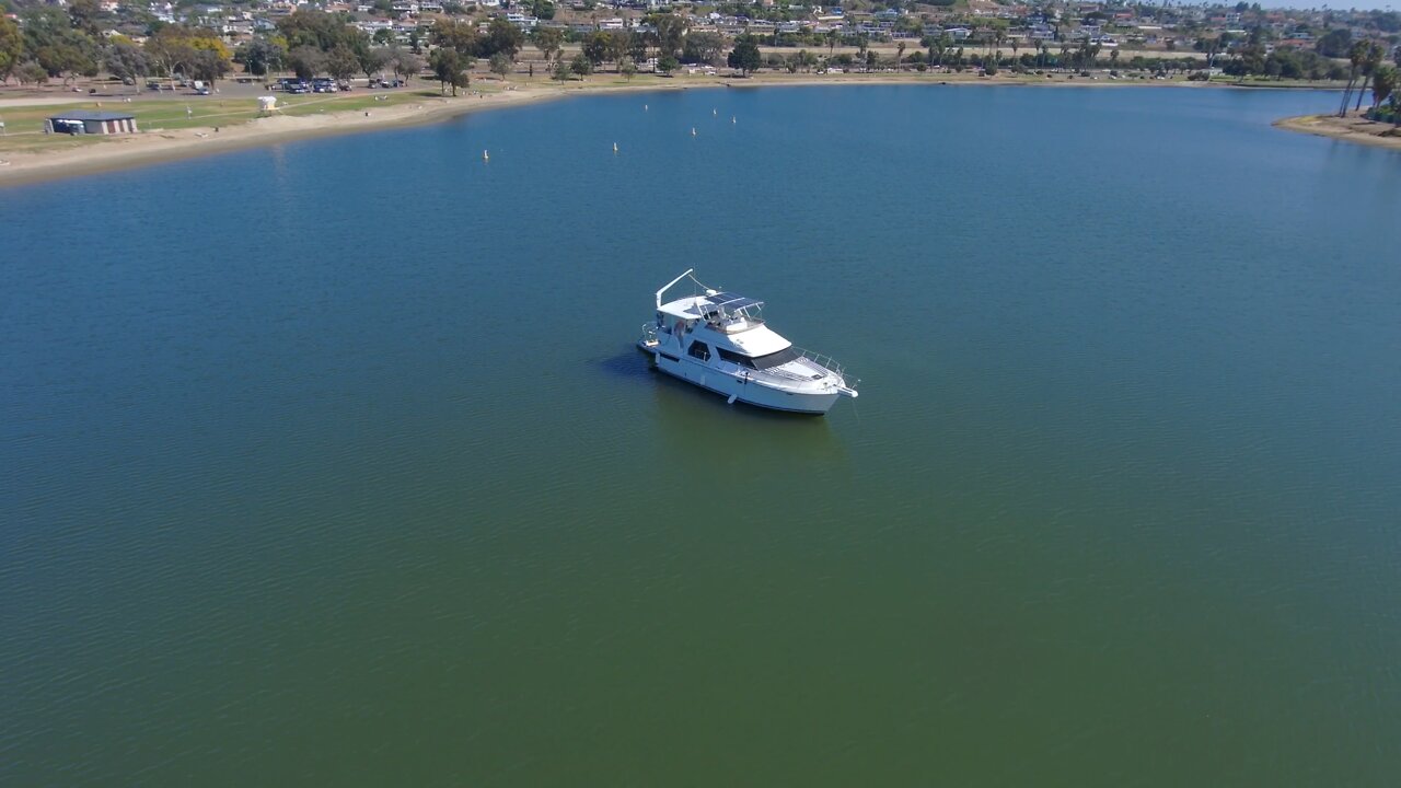 Blasian Babies DaDa Returns During De Anza Cove Low Tide Activities: Paddleboard, Yacht, Seagull