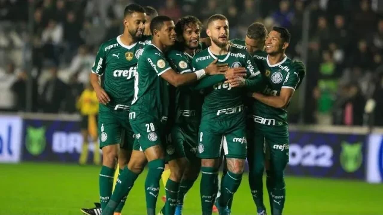 PALMEIRAS VENCEU, CONVENCEU E AVANÇOU NO BRASILEIRÃO