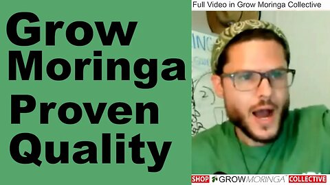 Grow Moringa Proven Quality Material for the Safety of Buyers | Heavy Metal Tested in GMP Facilities