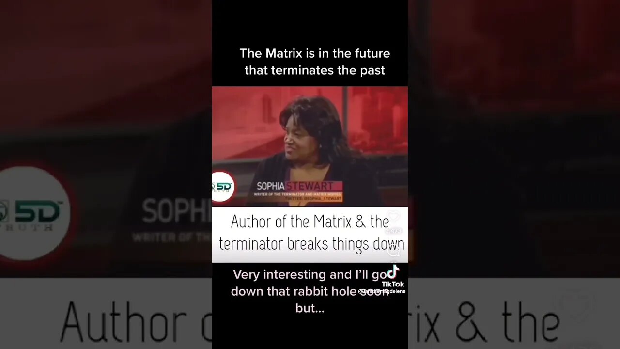 From the horse's mouth, Matrix and Terminator black author explains