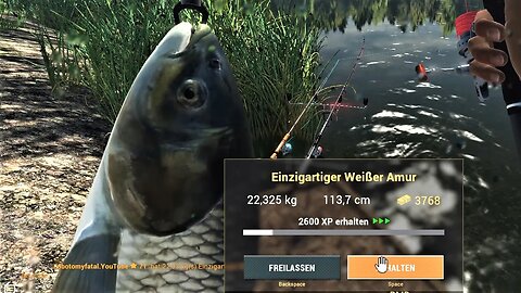 Fishing Planet Staffel 3 Folge 106 Ein Tag auf Karpfen in Weeping Willow Teil 3