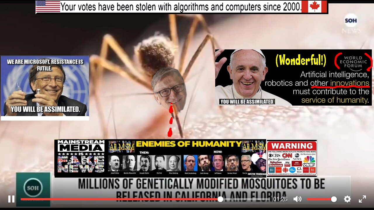 Bill Gates: genetically modified mosquitos to kill you - patented