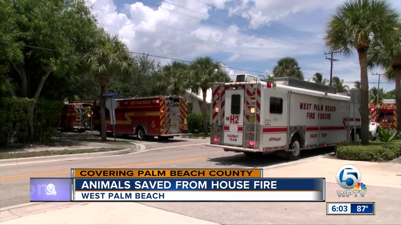 Animals saved from house fire in West Palm Beach