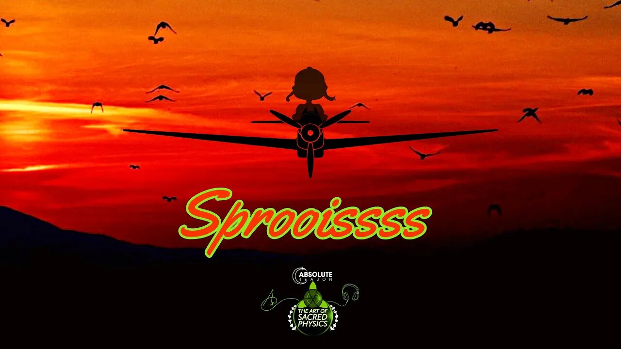 Sprooisss Introduction ● Time to have FUN