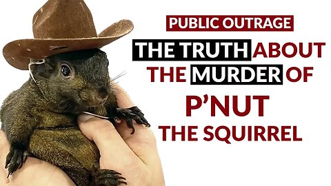 The TRUTH about the murder of P'Nut The Squirrel and Freddy the Raccoon PUBLIC OUTRAGE!